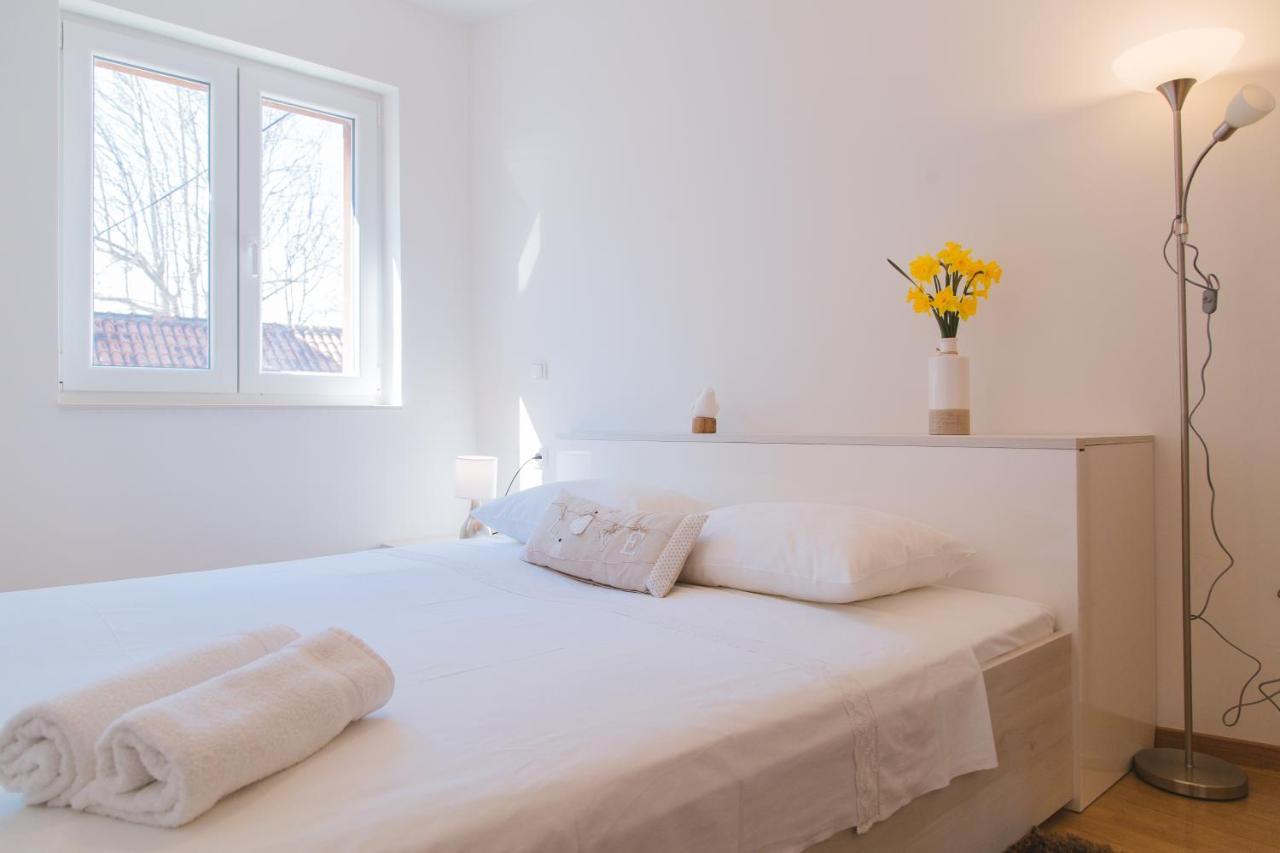 Apartment Center Lux 